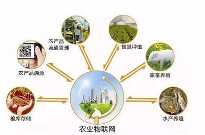 鄉村規劃設計丨中國農業十大戰略布局 風口、獨角獸與投資熱點深度解析